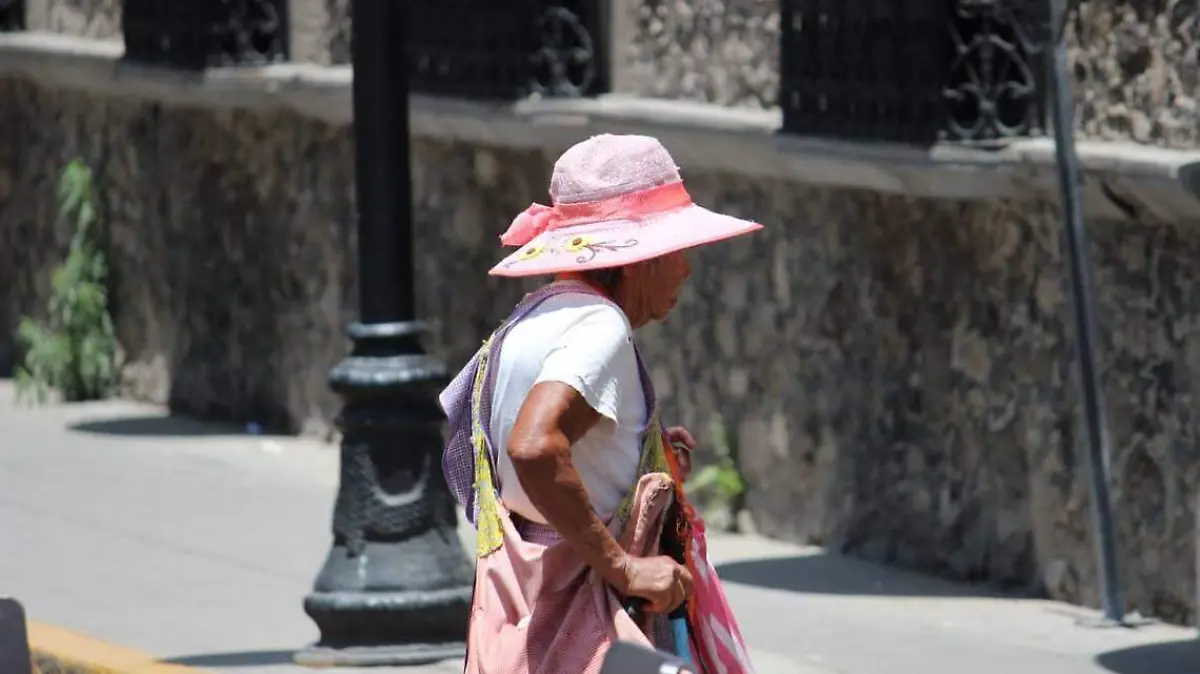 Semana calurosa en Hidalgo_ Pronóstico del clima del 19 al 23 de junio